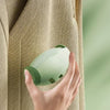 Reusable Lint Remover